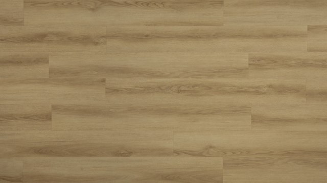 Appalachian Mountains